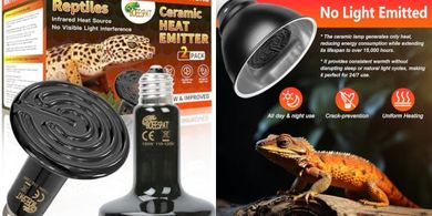 Ceramic Heat Lamps for Reptiles (2 x 150W)
