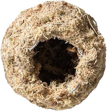 Galápagos Mossy Cave Reptile Hide (6", Blond Sphagnum)
