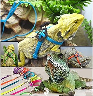 Adjustable Reptile Harness & Leash: Soft, Multicolor Fashion
