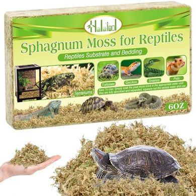 Premium Sphagnum Moss Terrarium Bedding for Reptiles & Small Animals
