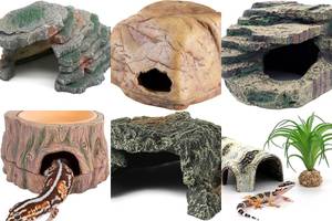 Gecko Cave Hideouts: 5 Amazing Options