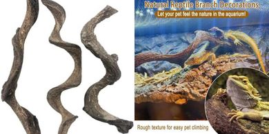 Natural Forest Branch Terrarium Decor (3-pack) for Reptiles
