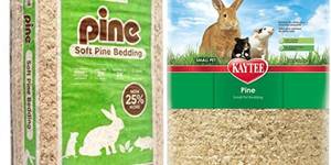 5 Best Pine Bedding Options for Your Reptiles