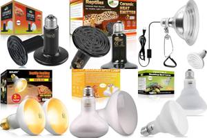 Best 150W Reptile Heat Lamps: Top 5 Picks