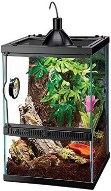 Zilla Tropical Habitat Starter Kit: 11-Gallon Gecko & Frog Vivarium