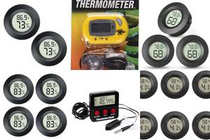 Top 5 Outdoor Terrarium Thermometers for 2024