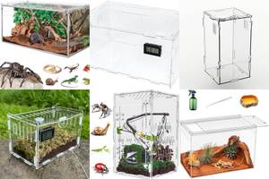 5 Stunning Acrylic Reptile Terrariums