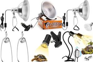 Best 5 Clamp-on Reptile Heat Lamps