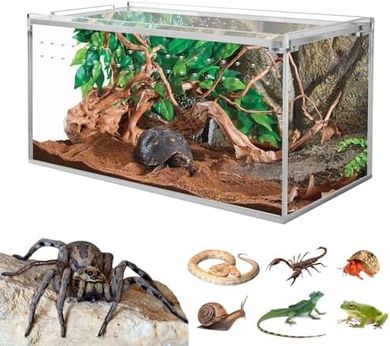 No-Assembly Smartang Acrylic Tarantula Terrarium (8x4x4", Magnetic Closure)
