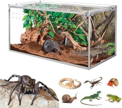 No-Assembly Smartang Acrylic Tarantula Terrarium (8x4x4", Magnetic Closure)
