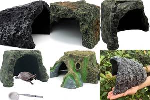 Turtle Paradise: 5 Amazing Reptile Caves