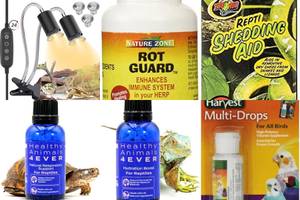 Top 5 Liquid Reptile Vitamins for Healthy Pets