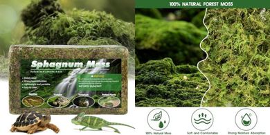 Premium Sphagnum Moss Reptile Bedding & Substrate
