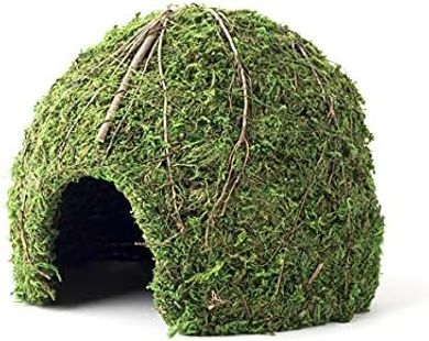 Galapagos Mossy Dome Reptile Hide (6-inch, Green)
