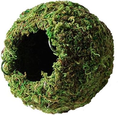 Galápagos Mossy Cave Reptile Hide (6", Green Sphagnum)
