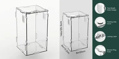 Mini Reptile & Invertebrate Terrarium (8x6x14") with Latch