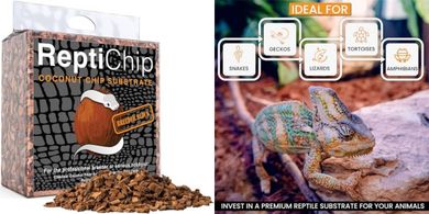 ReptiChip Coconut Husk Substrate: Reptile Bedding
