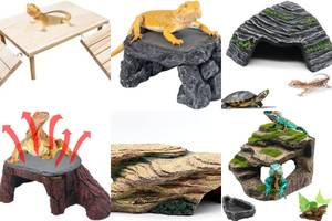 5 Amazing Jungle Basking Platforms for Reptiles