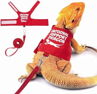 Escape-Proof Bearded Dragon Harness & 5ft Leash
