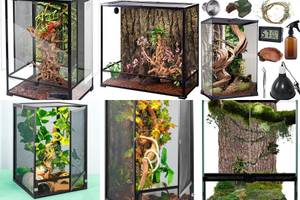 Chameleon Terrariums: Top 5 Choices for Your Pet