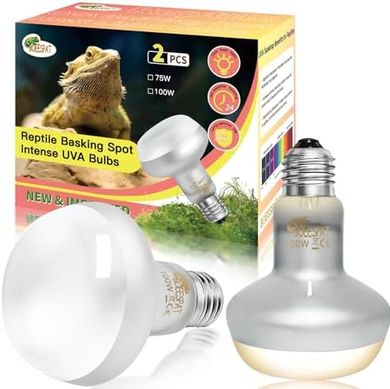 100W UVA Reptile Basking Lamps (2-pack)
