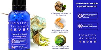 Reptile Hydration Boost: Natural Formula for Healthy Skin & Energy (300ct)
