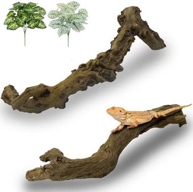 Natural Wood Branches: Reptile & Amphibian Terrarium Decor
